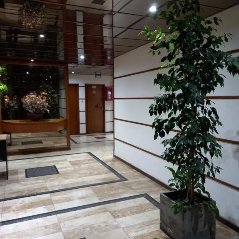 Apartamento Nueva Cordoba - Apartamento de 1 dormitorio - 9