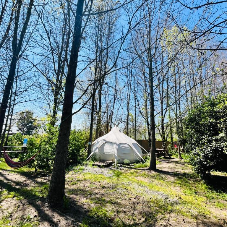 Glamping Remanso del Espíritu - Tienda - 4