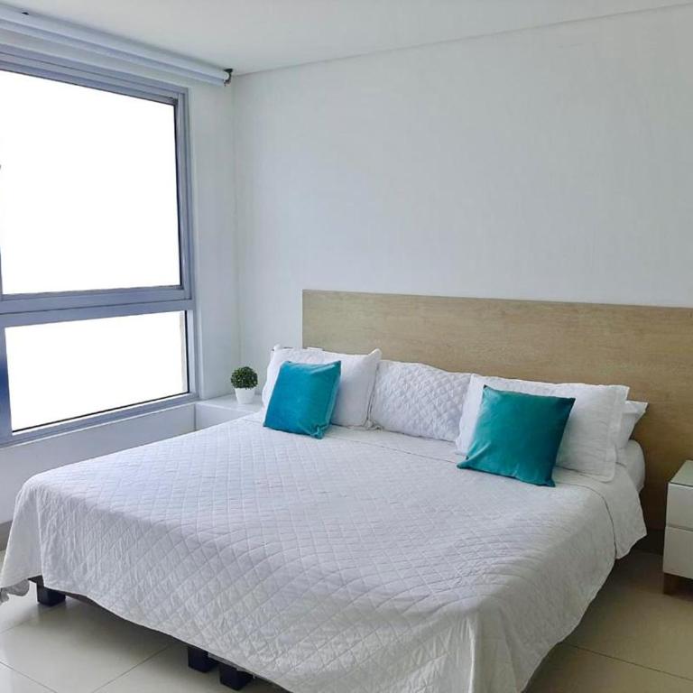 Palmetto Beach 1 habitacion - Apartamento de 1 dormitorio - 3