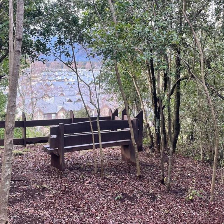 Casa nueva en Los Robles III Pucon Chile - Apartamento de 3 dormitorios - 17