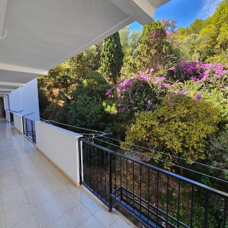 Apartamento Florido - Apartamento de 1 dormitorio - 3