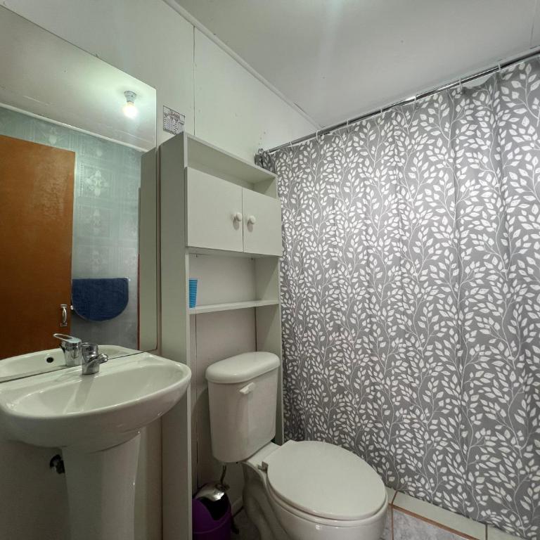 Oceana Suites Licanray - Casa - 7