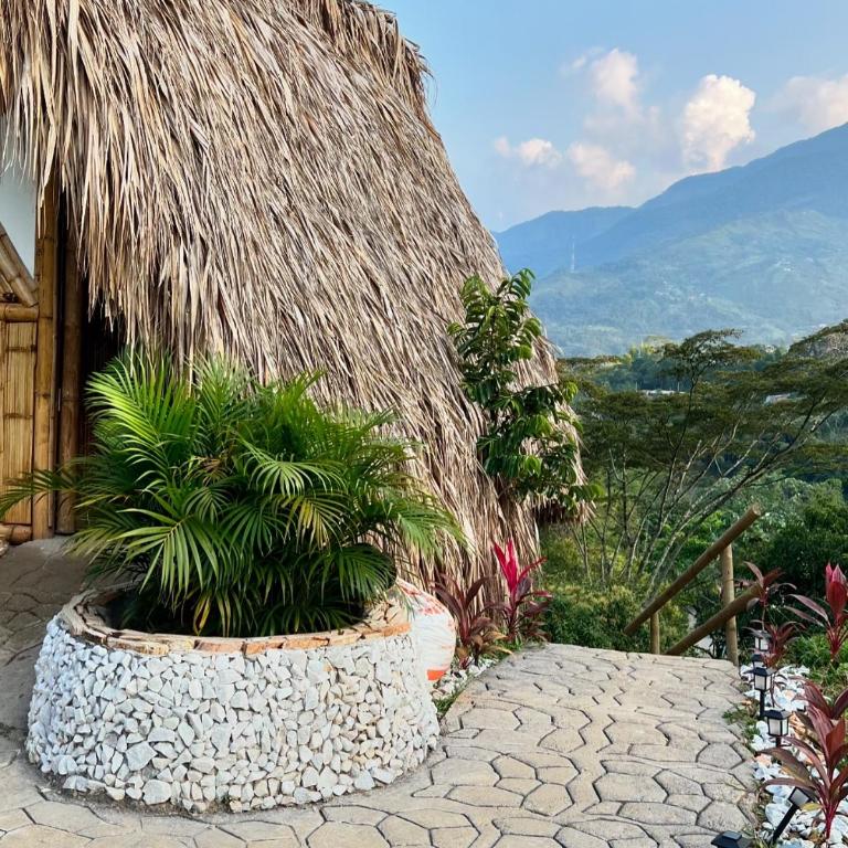 Cabaña Glamping vista verde Cocorna - Tienda - 9