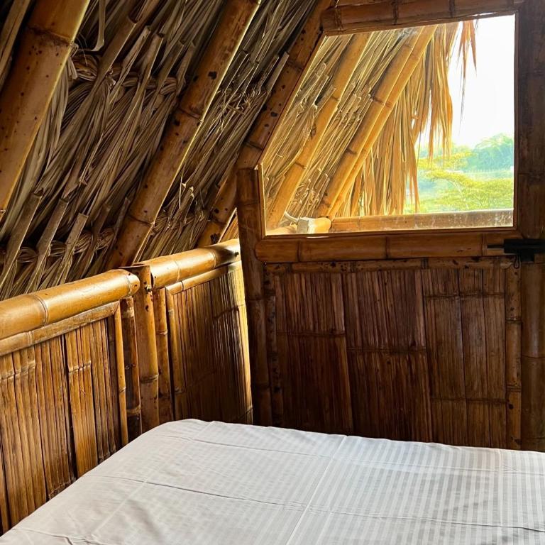 Cabaña Glamping vista verde Cocorna - Tienda - 10