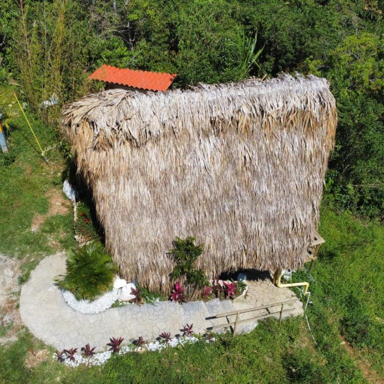 Cabaña Glamping vista verde Cocorna - Tienda - 11