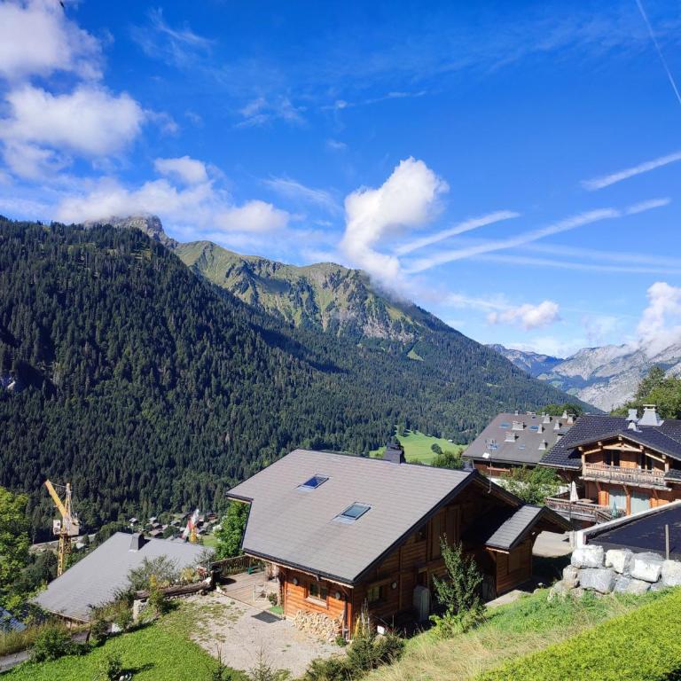 Studio cosy pour 3 avec balcon et parking à Châtel - FR-1-676-165 - Studio - 11