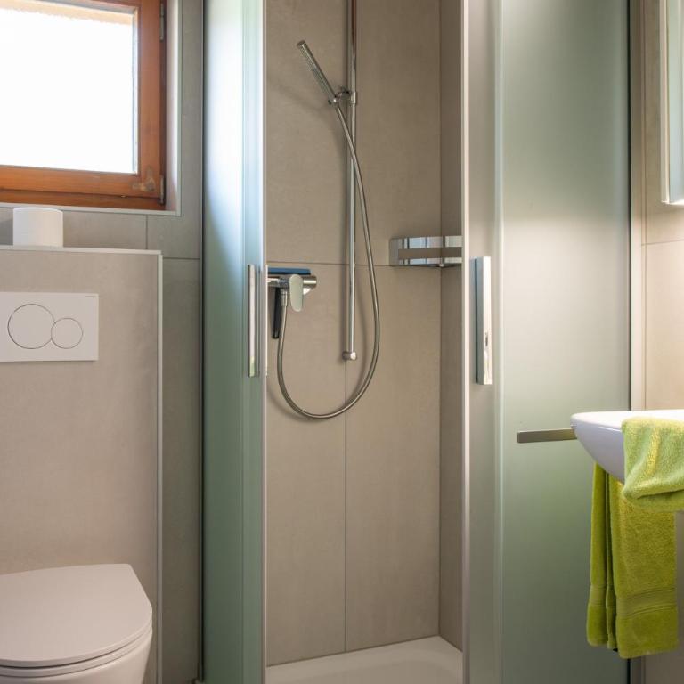Ferienwohnungen Zurschmitten - Apartment mit Balkon 17 - 6
