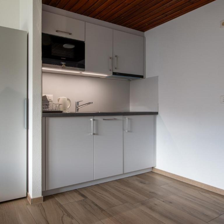 Ferienwohnungen Zurschmitten - Studio mit Balkon - 2