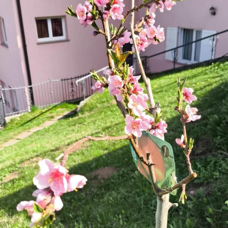 Mirabel Suite - Lovely Home - - Apartment mit 2 Schlafzimmern und Aussicht - 29