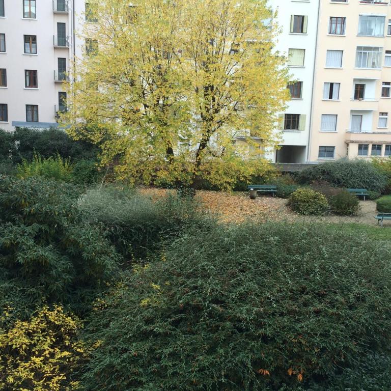 Studio Urban Chic Annecy - Apartamento Estudio - 16