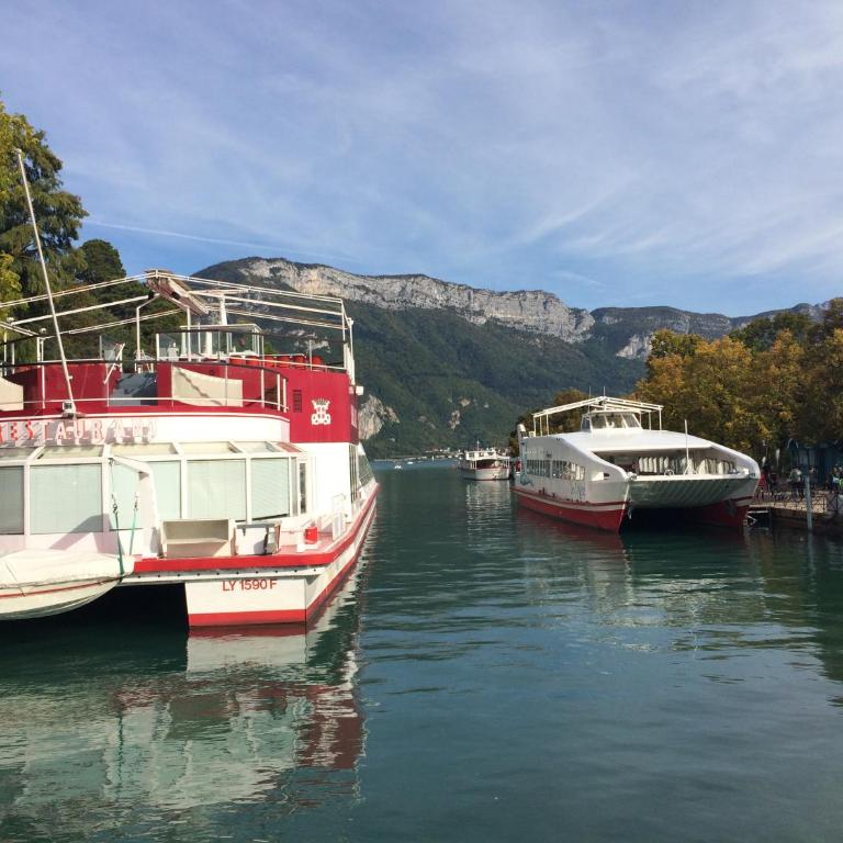 Studio Urban Chic Annecy - Apartamento Estudio - 23