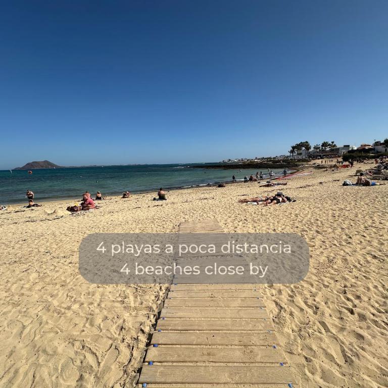 Surfer's view Pool AC WIFI DeskTerrace and Parking - Apartamento - 60