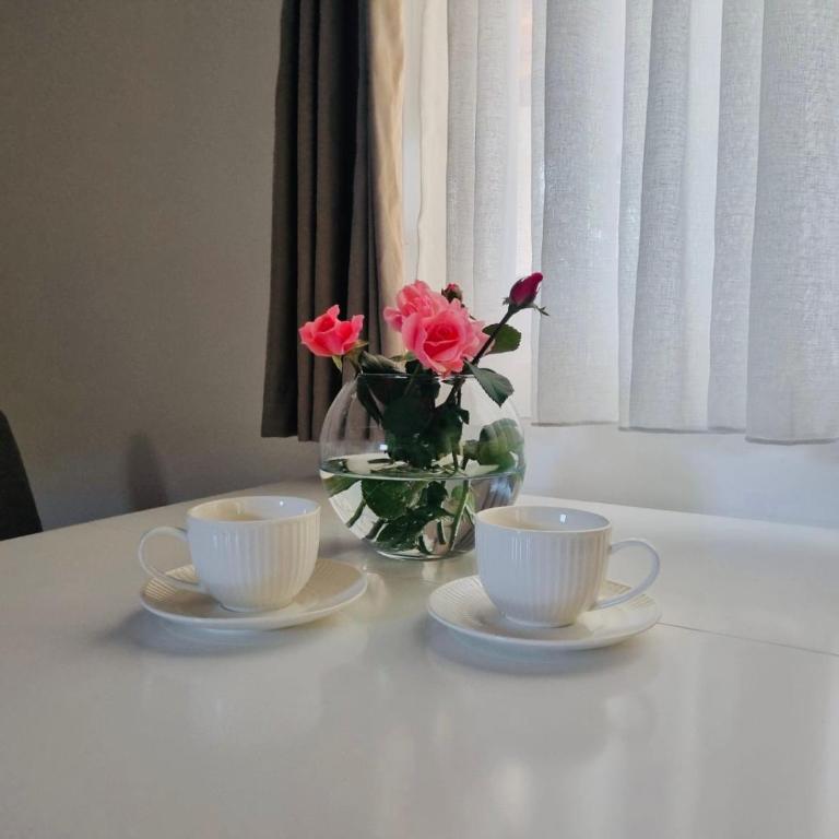Apartment Matija Airport - Apartman sa 1 Spavaćom Sobom - 13