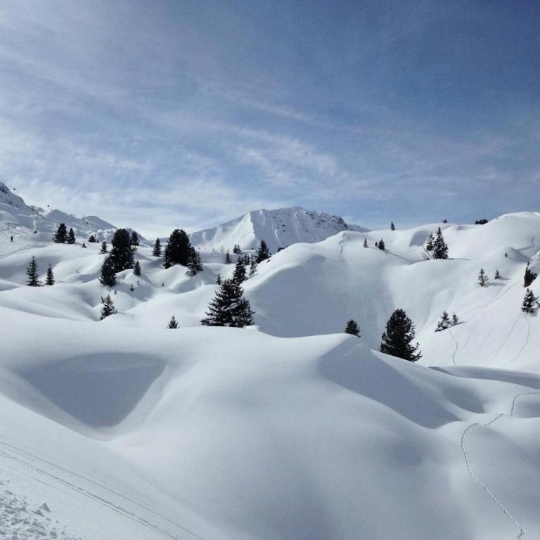 Résidence Le Plein Sud - Studio 2/3 pers - PLAGNE VILLAGES - 009PS -LE PLEIN SUD- WIFI INCLUS MAE-1674 - Studio - 9