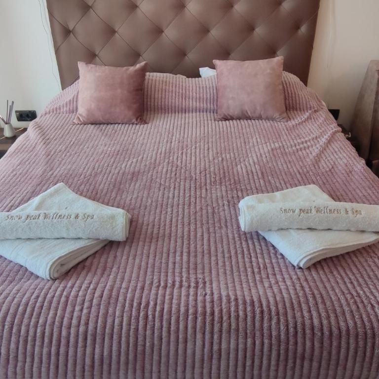 Snow peak Wellness & Spa, Kopaonik Milmari N5 - Deluxe King Studio - 12