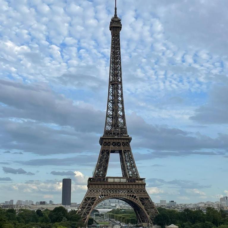 Nice apartment near the Eiffel Tower - Appartement 1 Chambre - 22