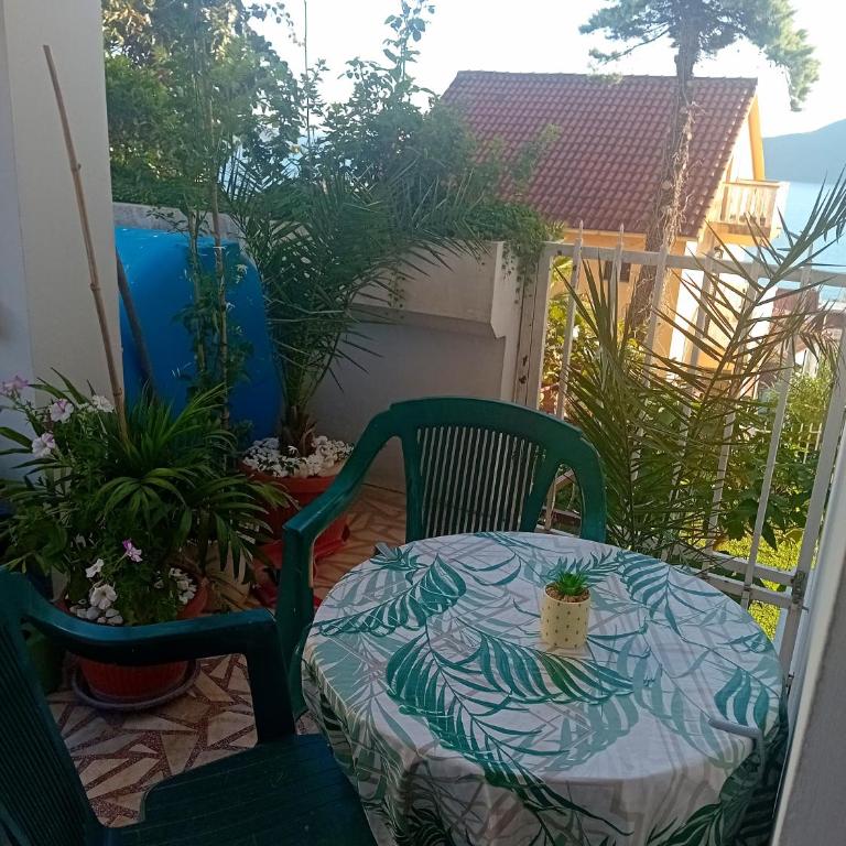 Guest House Cinderella - Single Room with Shower - 5