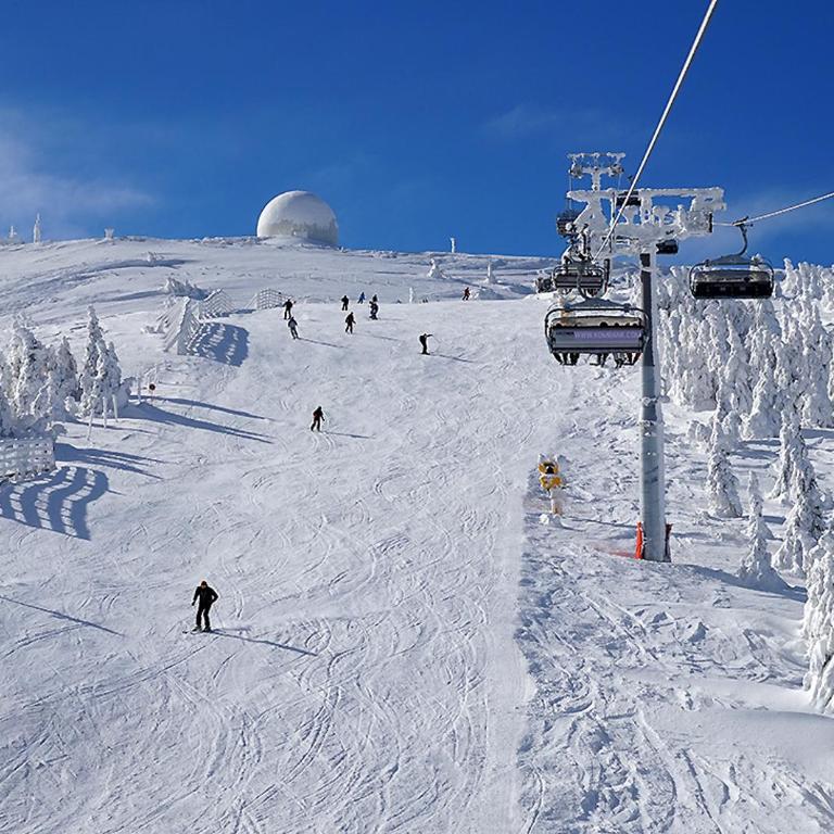 Snow peak Wellness & Spa, Kopaonik Milmari N5 - Deluxe King Studio - 54