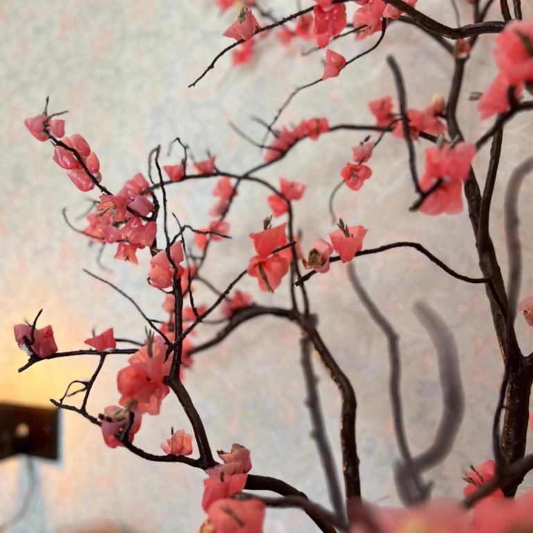 Juliette Posada Boutique Ex Posada La Villa - Habitación Doble Deluxe con balcón - 8