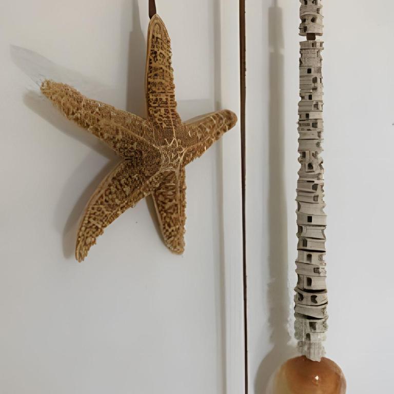 12 de Octubre - Estudio - 17