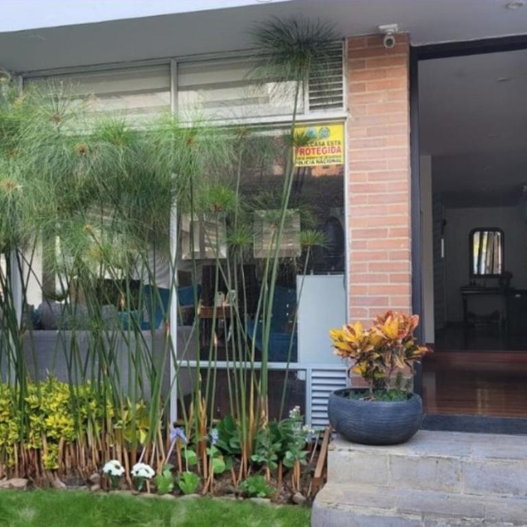 Moderna casa en zona céntrica - Casa de 4 dormitorios - 20