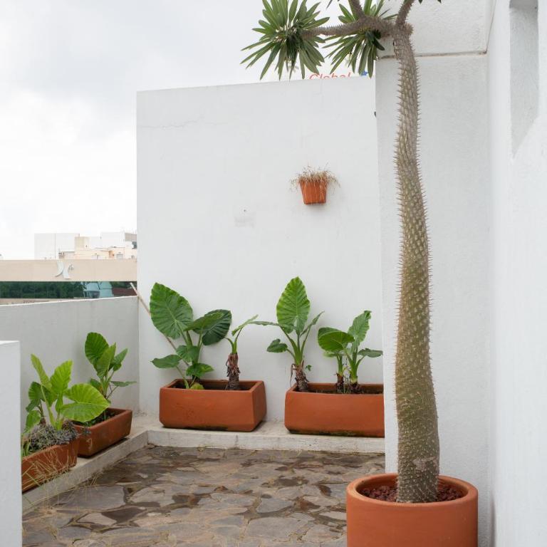 Centrico departamento de 3 habitaciones - Three-Bedroom Apartment - 42