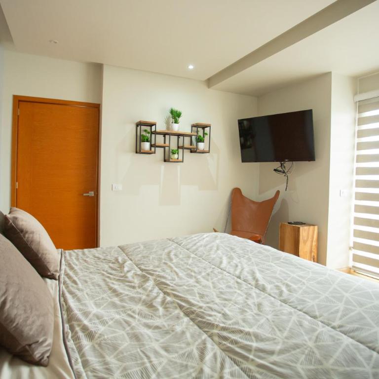 Centrico departamento de 3 habitaciones - Three-Bedroom Apartment - 64