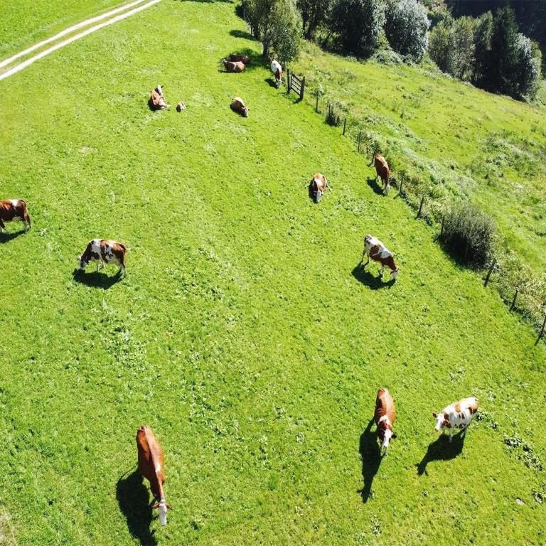 Farmhouse in Hollersbach with Mountain Views - Three-Bedroom Apartment - 26