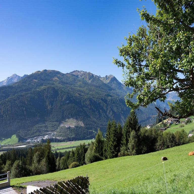 Farmhouse in Hollersbach with Mountain Views - Three-Bedroom Apartment - 27
