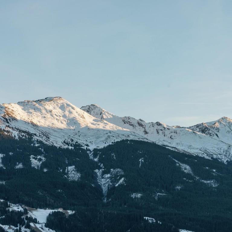 Farmhouse in Hollersbach with Mountain Views - Three-Bedroom Apartment - 32