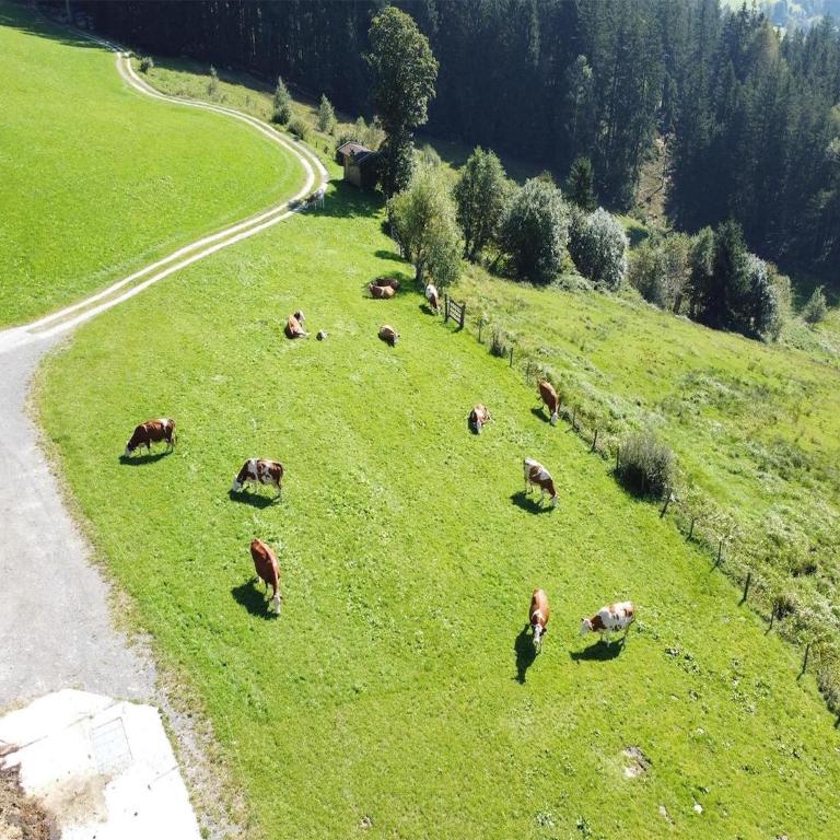 Farmhouse in Hollersbach with Mountain Views - Three-Bedroom Apartment - 24