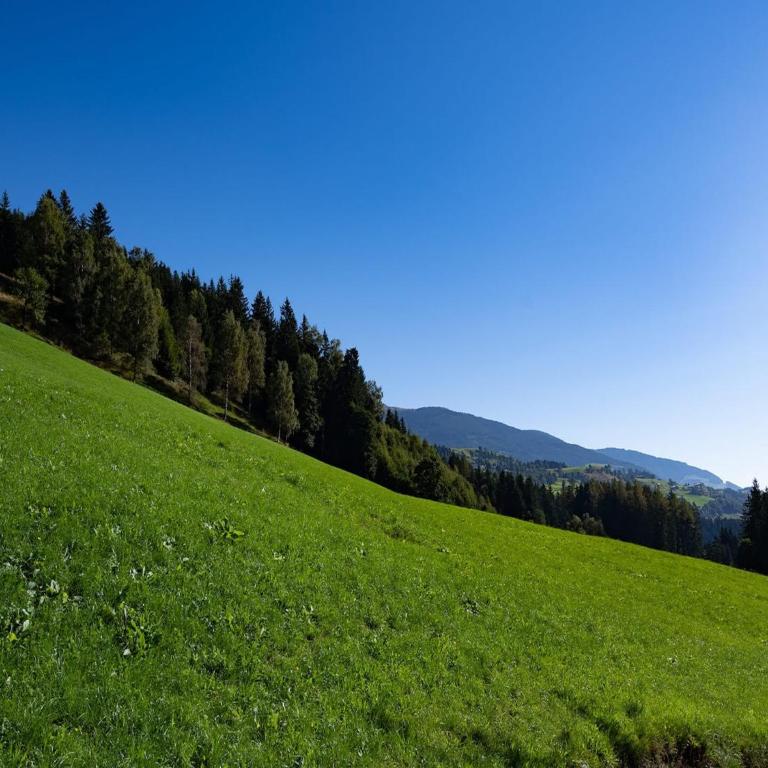Farmhouse in Hollersbach with Mountain Views - Three-Bedroom Apartment - 28