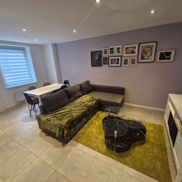 Entire house with arcade machine in a private backyard, 3 bedrooms, 1 bathroom, 1 leaving room with convertible sofa and open kitchen - Haus mit 3 Schlafzimmern - 11