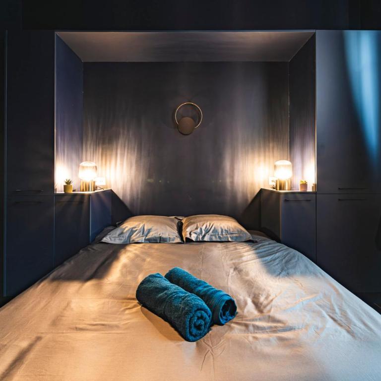 SPA Balnéo des Sacres-REIMS-Centre Ville - Appartamento con 1 Camera da Letto e Vasca Idromassaggio - 8