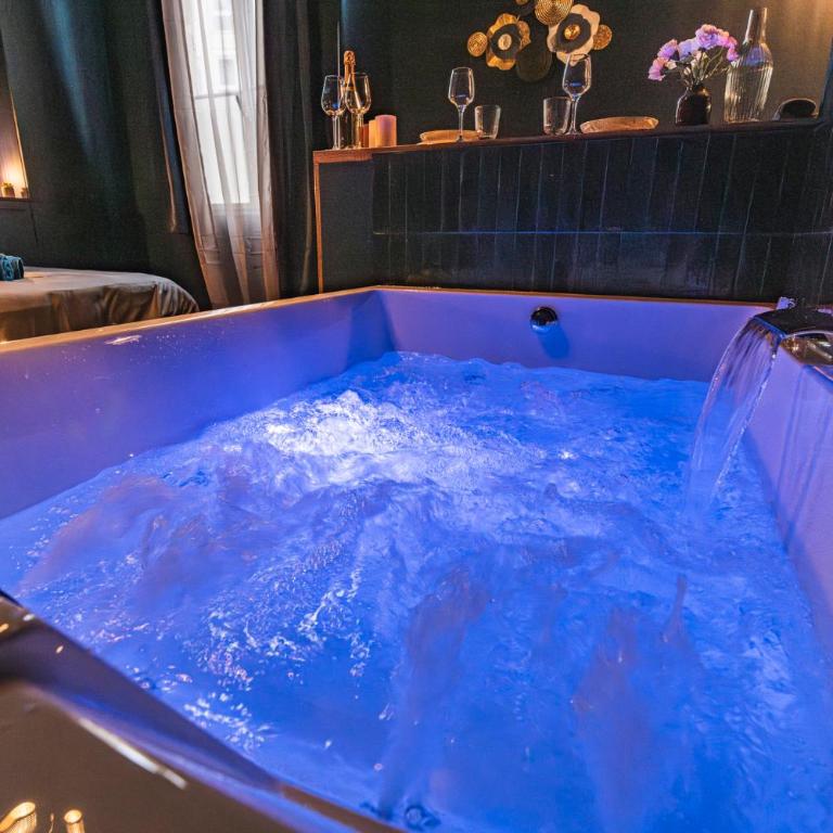 SPA Balnéo des Sacres-REIMS-Centre Ville - Appartamento con 1 Camera da Letto e Vasca Idromassaggio - 17