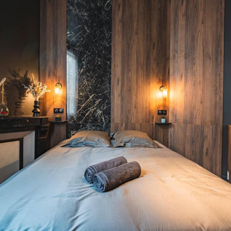 SPA Balnéo des Sacres-REIMS-Centre Ville - Appartamento con 1 Camera da Letto e Vasca Idromassaggio - 13