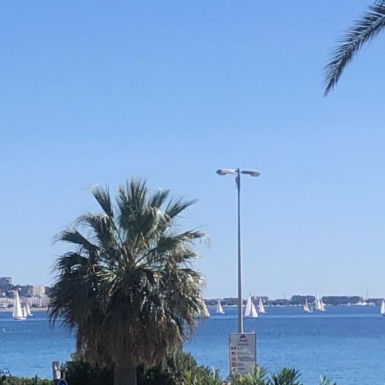 Cannes Terrace Beach Front & Sea view - Apartment mit Terrasse - 78