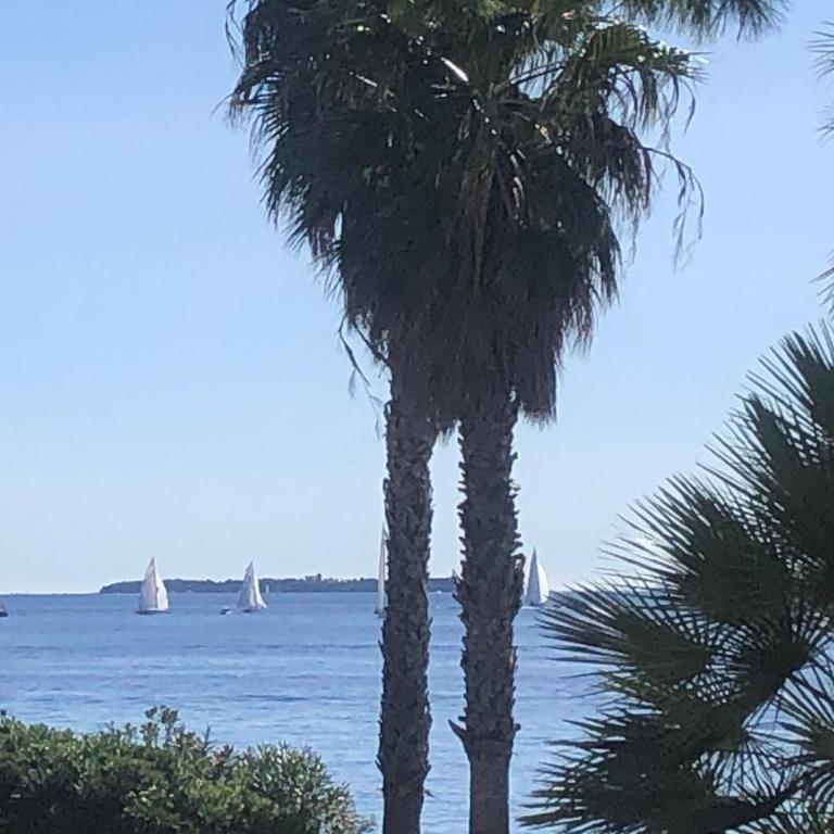 Cannes Terrace Beach Front & Sea view - Apartment mit Terrasse - 73