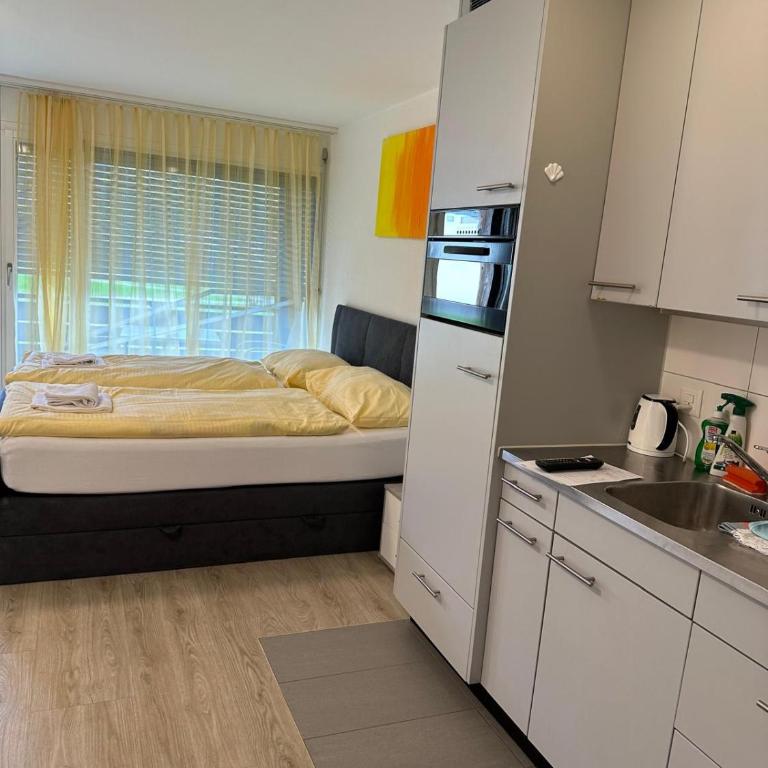 Studio 102 - Riverside - One-Bedroom Apartment - 1