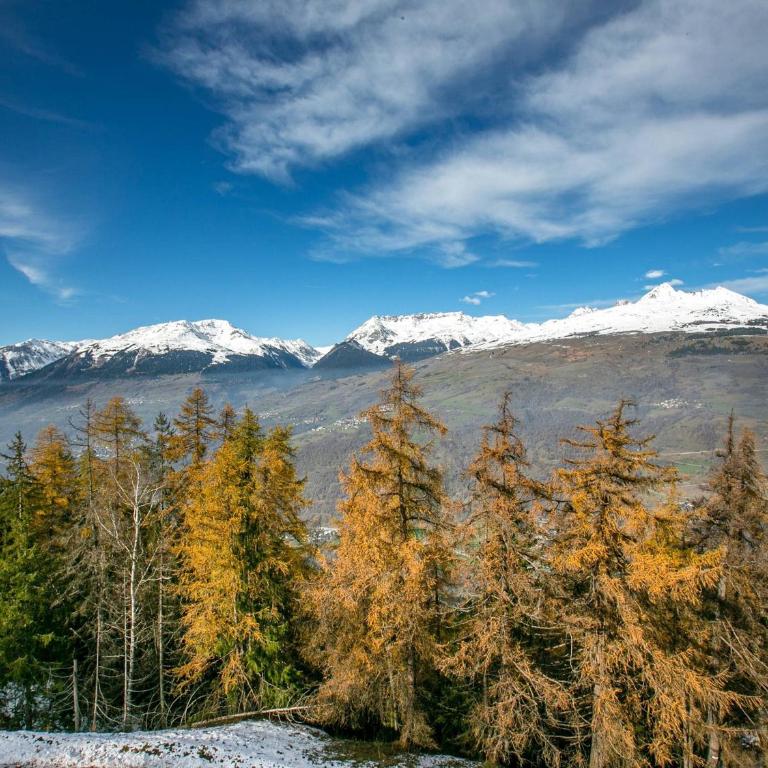 Studio cosy à La Plagne, proche pistes - animaux admis - FR-1-353-50 - Studio - 11