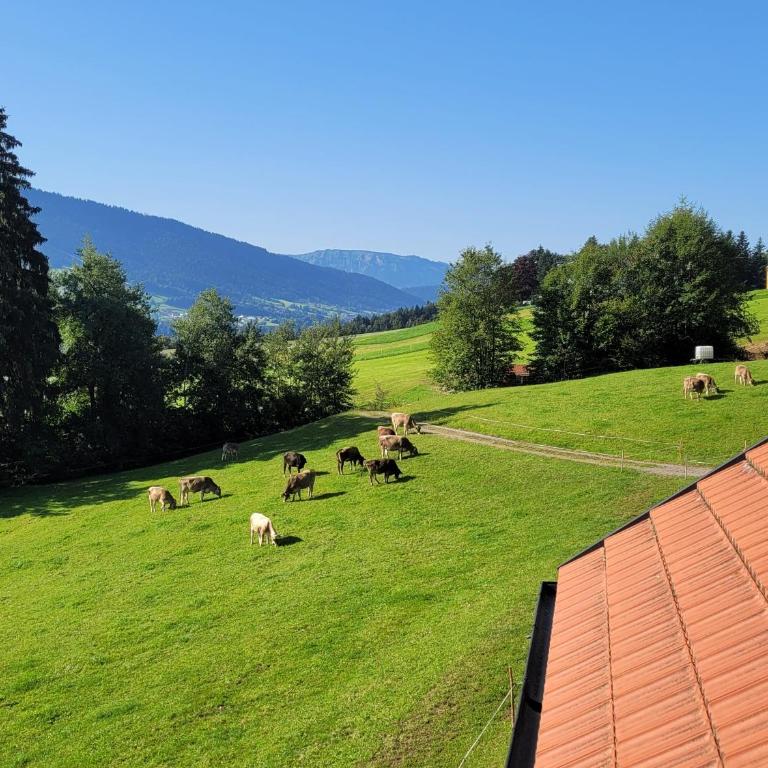 Ferienwohnung Seywald - Apartment mit 2 Schlafzimmern - 29