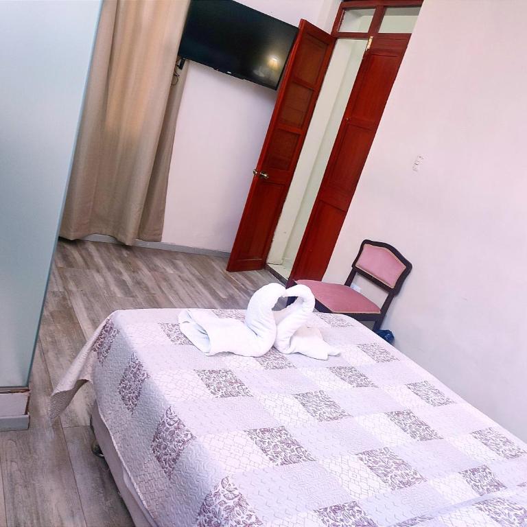 Misti Apartment Hostal - Apartment - 2