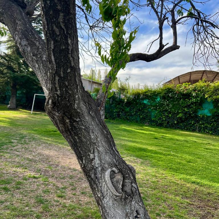 Hermosa casa en Vistalba, Lujan de Cuyo - Three-Bedroom House - 7