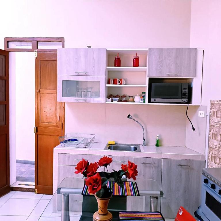 Misti Apartment Hostal - Apartment - 8