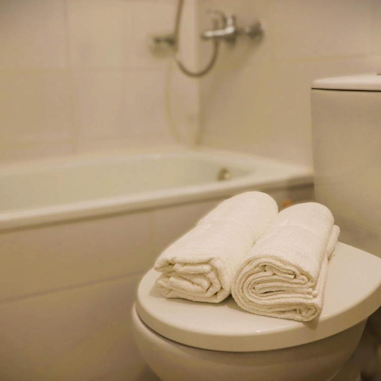 HOM I Amplio y Comodo Depto 1D1B en Pucon Parking - Apartamento - 15
