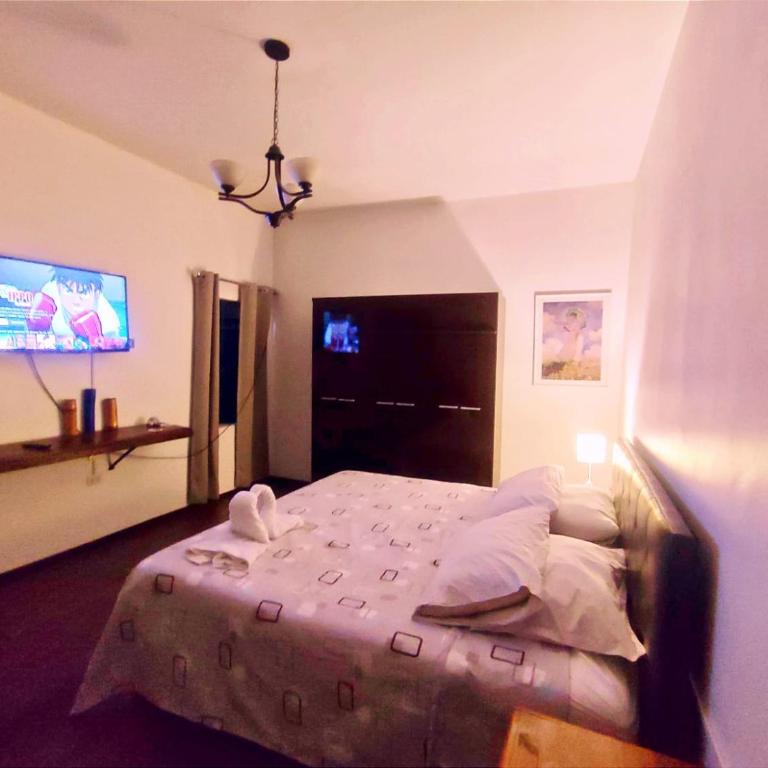 Misti Apartment Hostal - Queen Room with Shared Bathroom - 1
