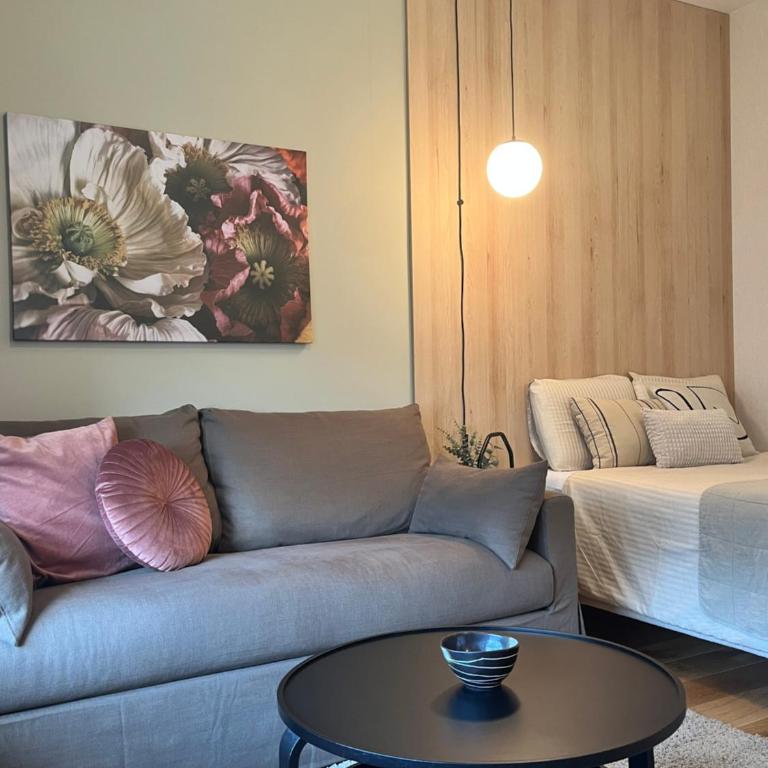 IVA HOME Apartment - Studio s King-sajz Krevetom i Sofom na Izvlačenje - 7