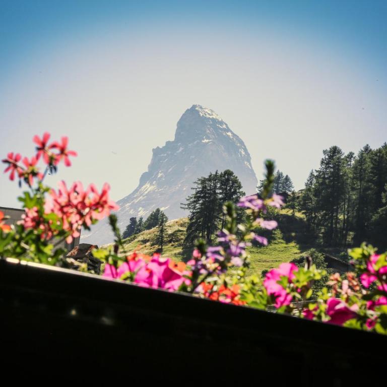Villa Taugwalder I Monte Rosa - Apartamento de 3 dormitorios - 1