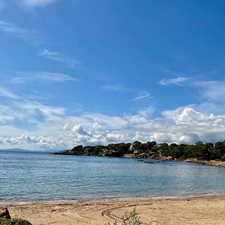 Studio climatisé avec piscine, parking résidence et plages proches - Appartamento con 1 Camera da Letto - 12