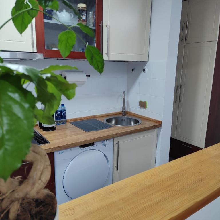 Apartman Ingrid - Apartman sa 1 Spavaćom Sobom - 7